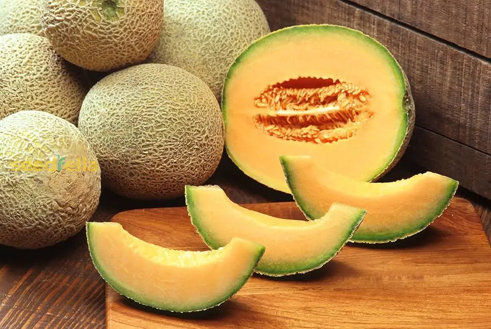 Orange Muskmelon Fruit Seeds - Planting Seeds