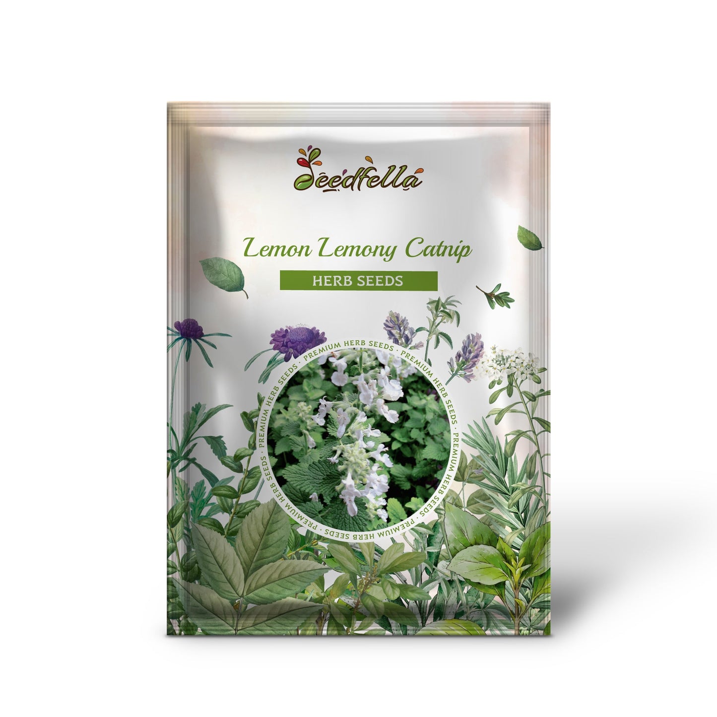 Lemon Lemony Catnip (Nepeta cataria var. citrodoria) Herb Flower Seeds