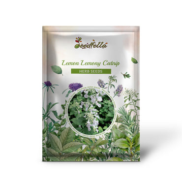 Lemon Lemony Catnip (Nepeta cataria var. citrodoria) Herb Flower Seeds