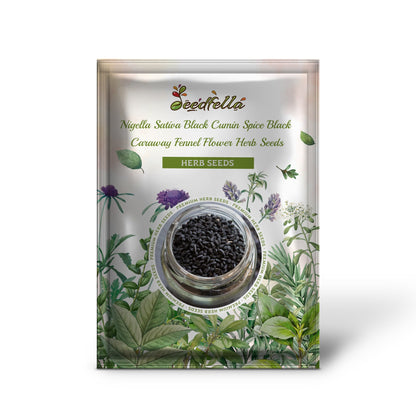 Nigella Sativa Black Cumin Spice Black Caraway Fennel Flower Herb Seeds