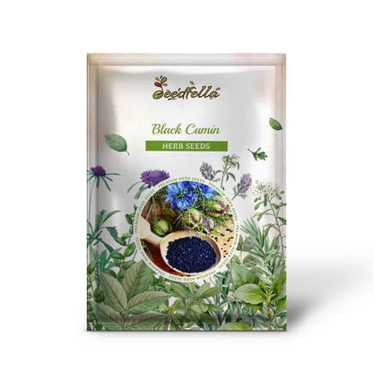 Black Cumin (Nigella sativa) Seeds