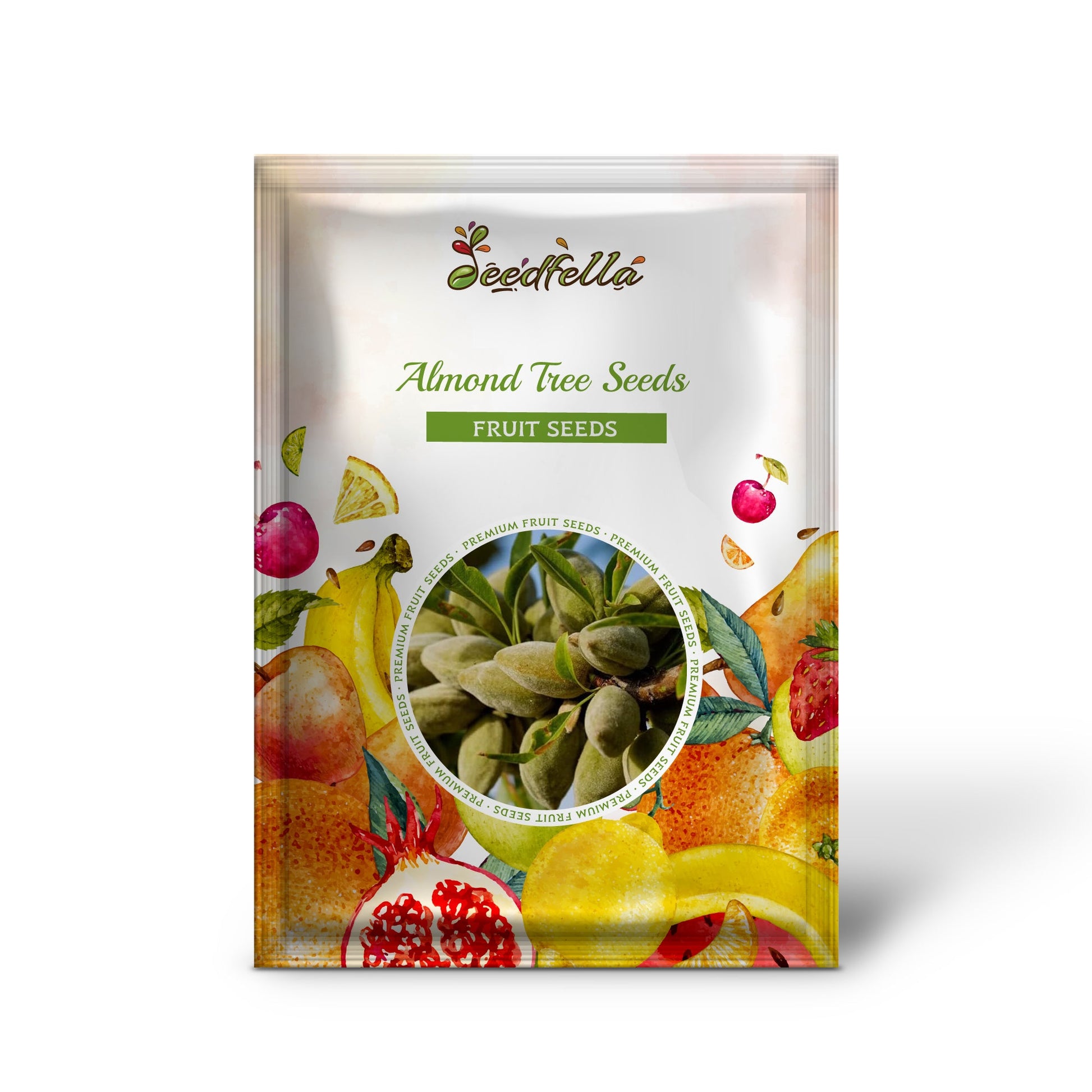 almond plant seeds Almond Tree Seeds & Planting Growth Kit Organic Garden Seeds – Pure Asia Seeds