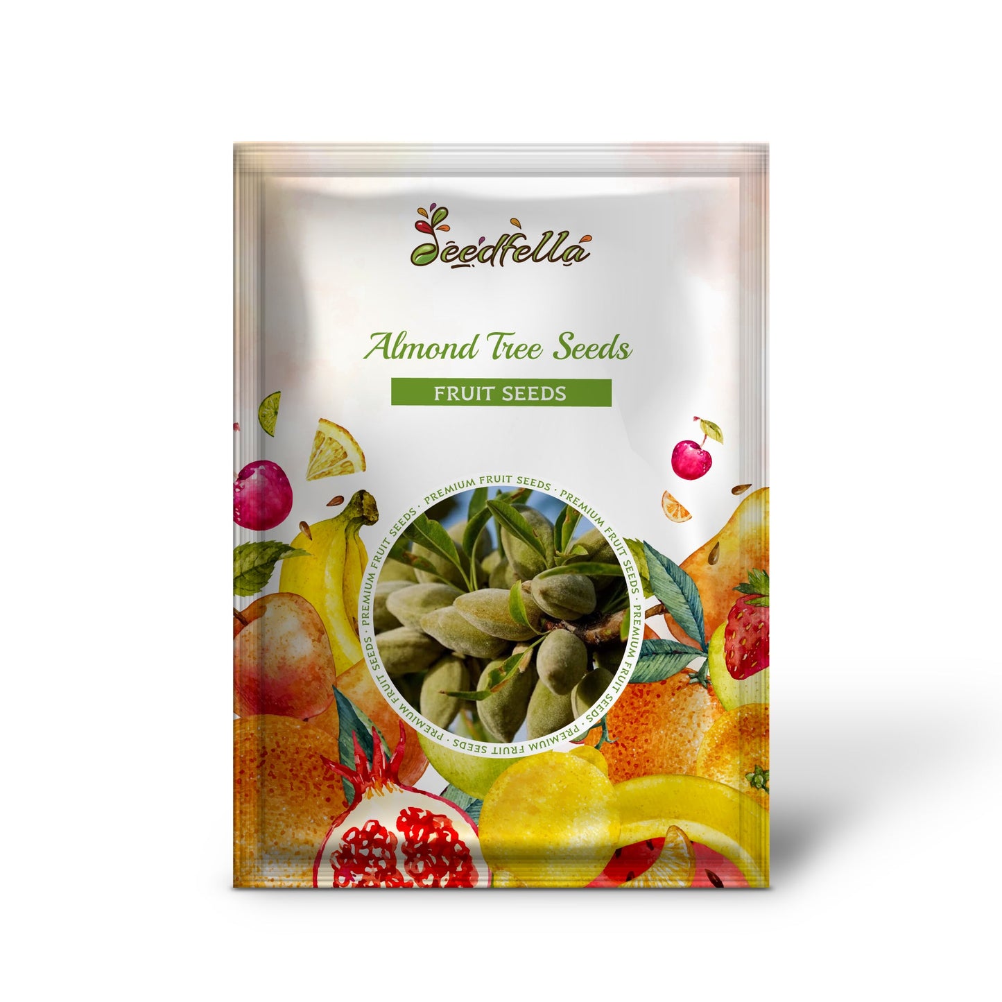 Almond Tree Seeds & Planting Growth Kit