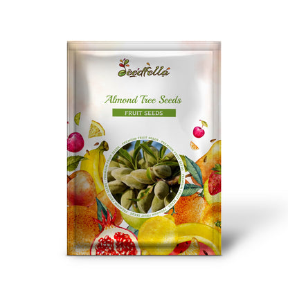 Almond Tree Seeds & Planting Growth Kit