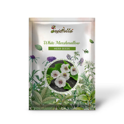 White Marshmallow (Althaea officinalis) Flower Seeds