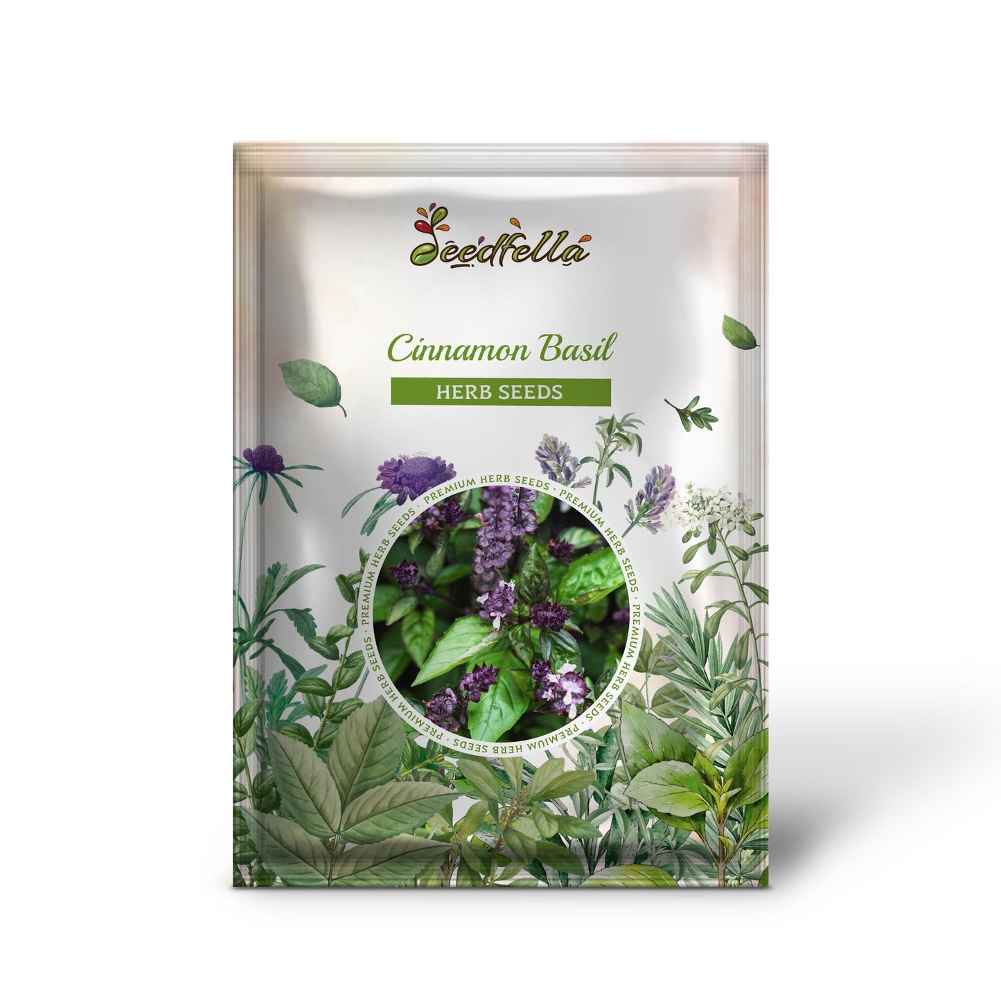 Cinnamon Basil (Ocimum basilicum) Herb & Flower Seeds