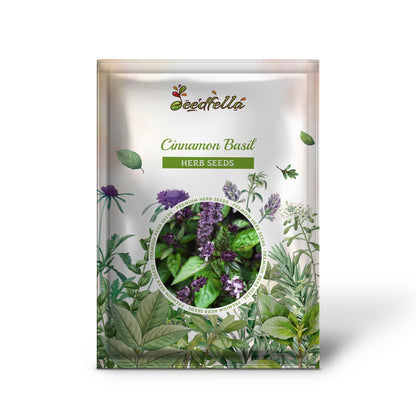 Cinnamon Basil (Ocimum basilicum) Herb & Flower Seeds