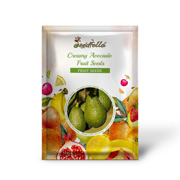 Creamy Avocado Fruit Seeds for Planting
