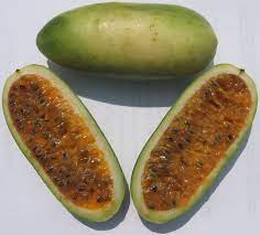 Banana Passion Fruit Seeds - Grow Exotic Plants