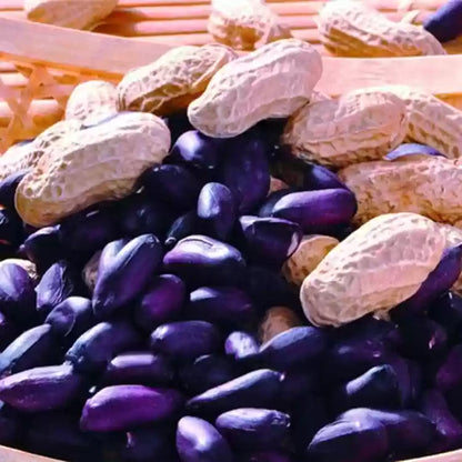 Blue Peanut Seeds – Ideal for Planting