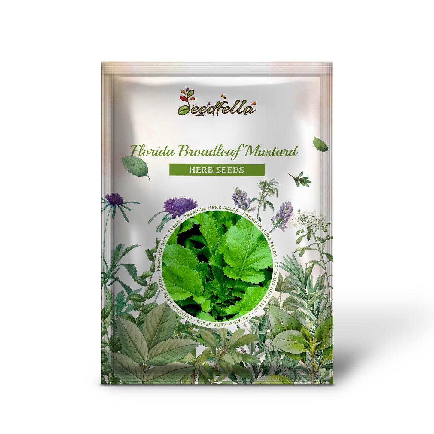 Florida Broadleaf Mustard (Brassica juncea) Herb & Vegetable Seeds