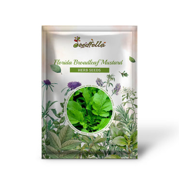 Florida Broadleaf Mustard (Brassica juncea) Herb & Vegetable Seeds