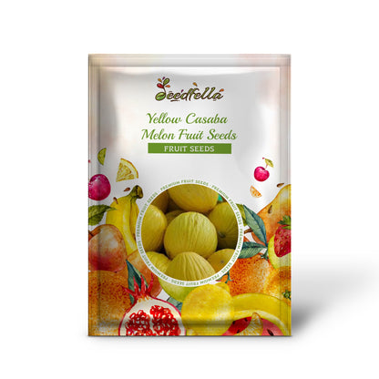 Yellow Casaba Melon Fruit Seeds Planting Sweet