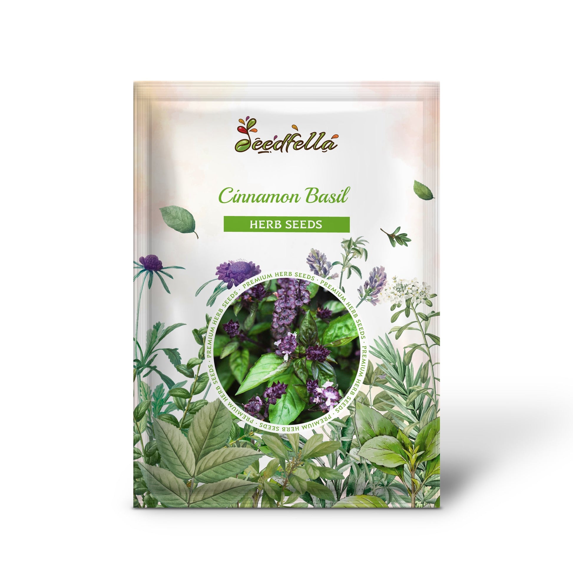 cinnamon plant seeds Cinnamon Basil Ocimum Basilicum 'Cinnamon' Seeds Organic Garden Seeds – Pure Asia Seeds