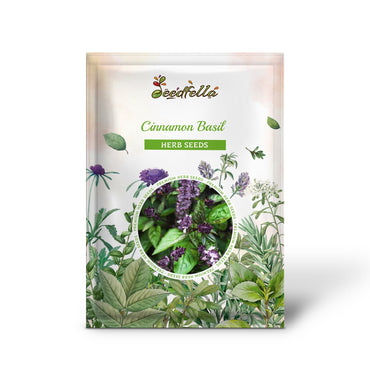 Cinnamon Basil (Ocimum basilicum 'Cinnamon') Seeds