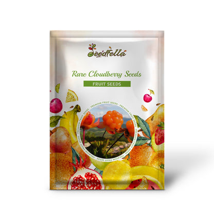 Rare Cloudberry Seeds for Planting