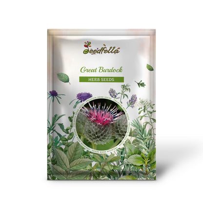 Great Burdock (Arctium lappa) Edible Burdock Herb Flower Seeds