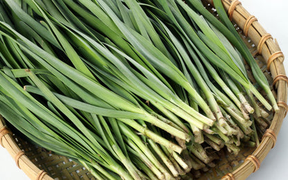 Garlic Chive (Allium tuberosum) Vegetable Seeds