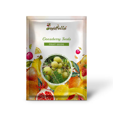 Gooseberry Seeds Planting Guide