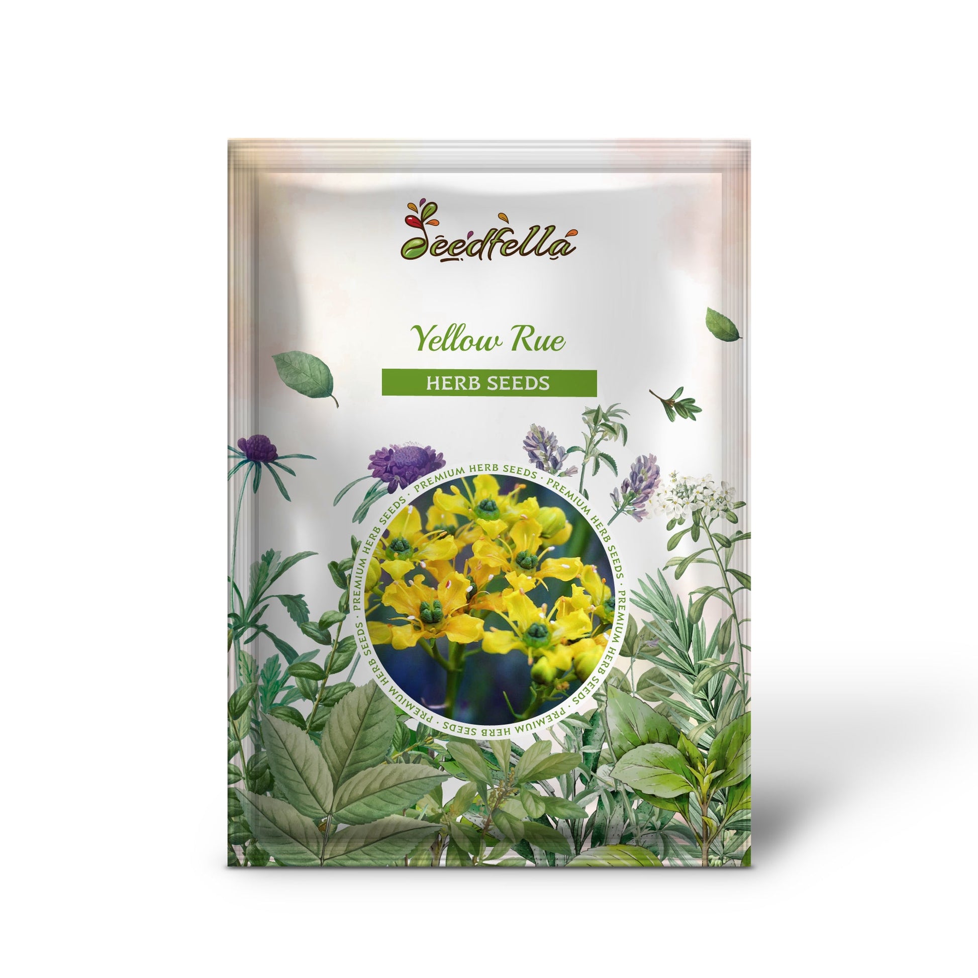 garden grace seeds Yellow Rue Ruta Graveolens Herb Of Grace, Fragrant Evergreen Flower Seeds Organic Garden Seeds – Pure Asia Seeds