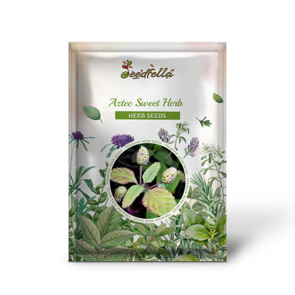 Aztec Sweet Herb (Lippia dulcis) - Honeyherb, Mayan Mint, Dulce Buttons, White Flower Seeds