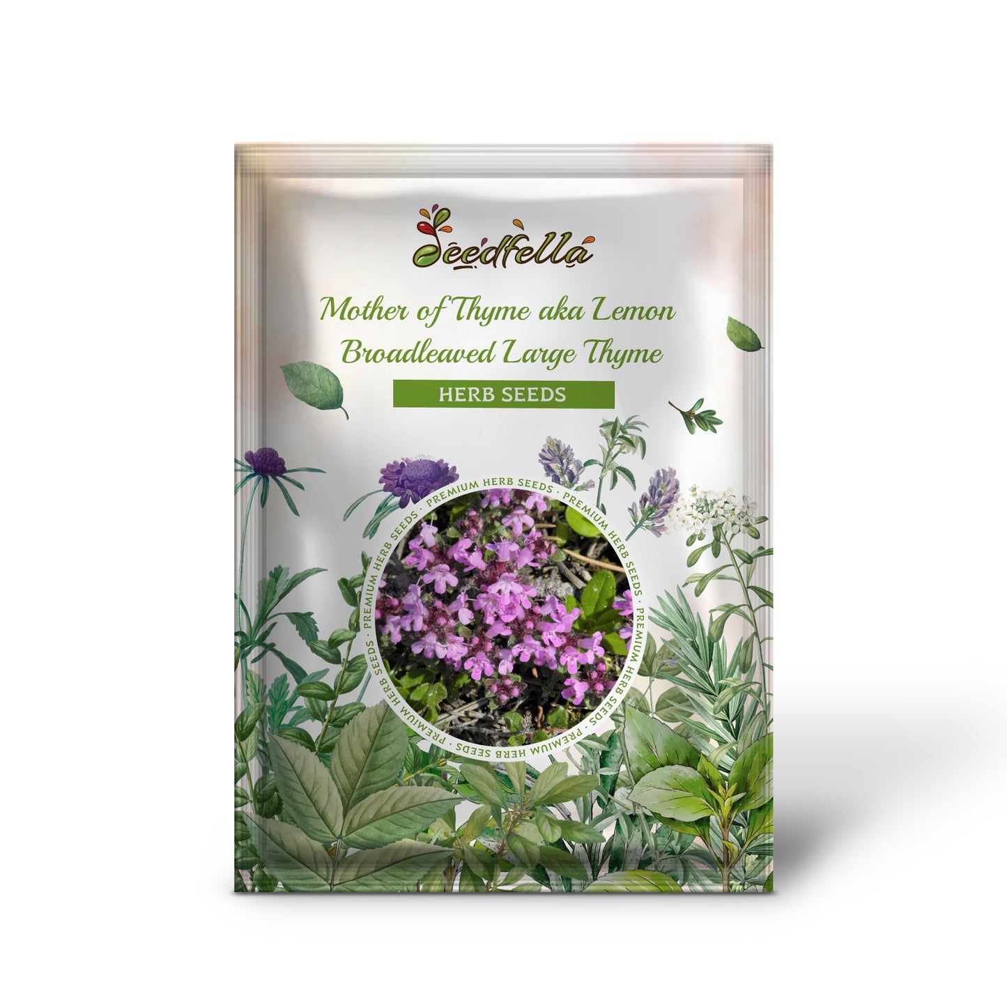 Mother of Thyme aka Lemon Broadleaved Large Thyme (Thymus pulegioides) Herb Pink Flower Seeds