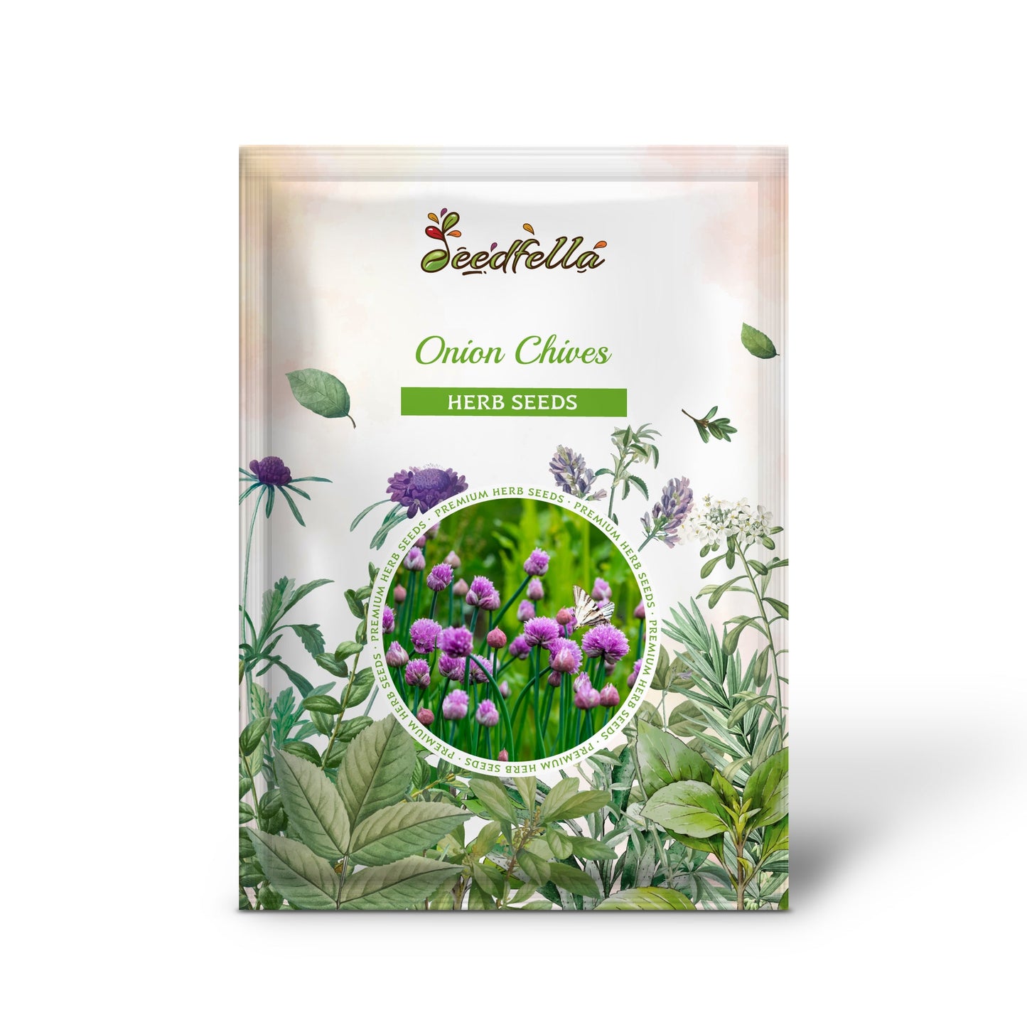 Onion Chives (Allium schoenoprasum) Seeds