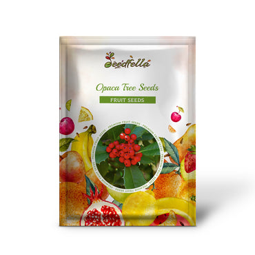 Opaca Tree Seeds for Ornamental Planting