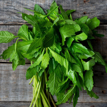 Epazote (Organic) Seeds (Dysphania ambrosioides)