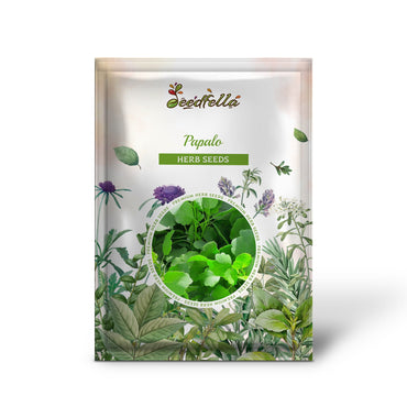 Papalo (Porophyllum ruderale) - 25 Yerba Porosa, Summer Cilantro, Bolivian Coriander Culinary Herb Seeds