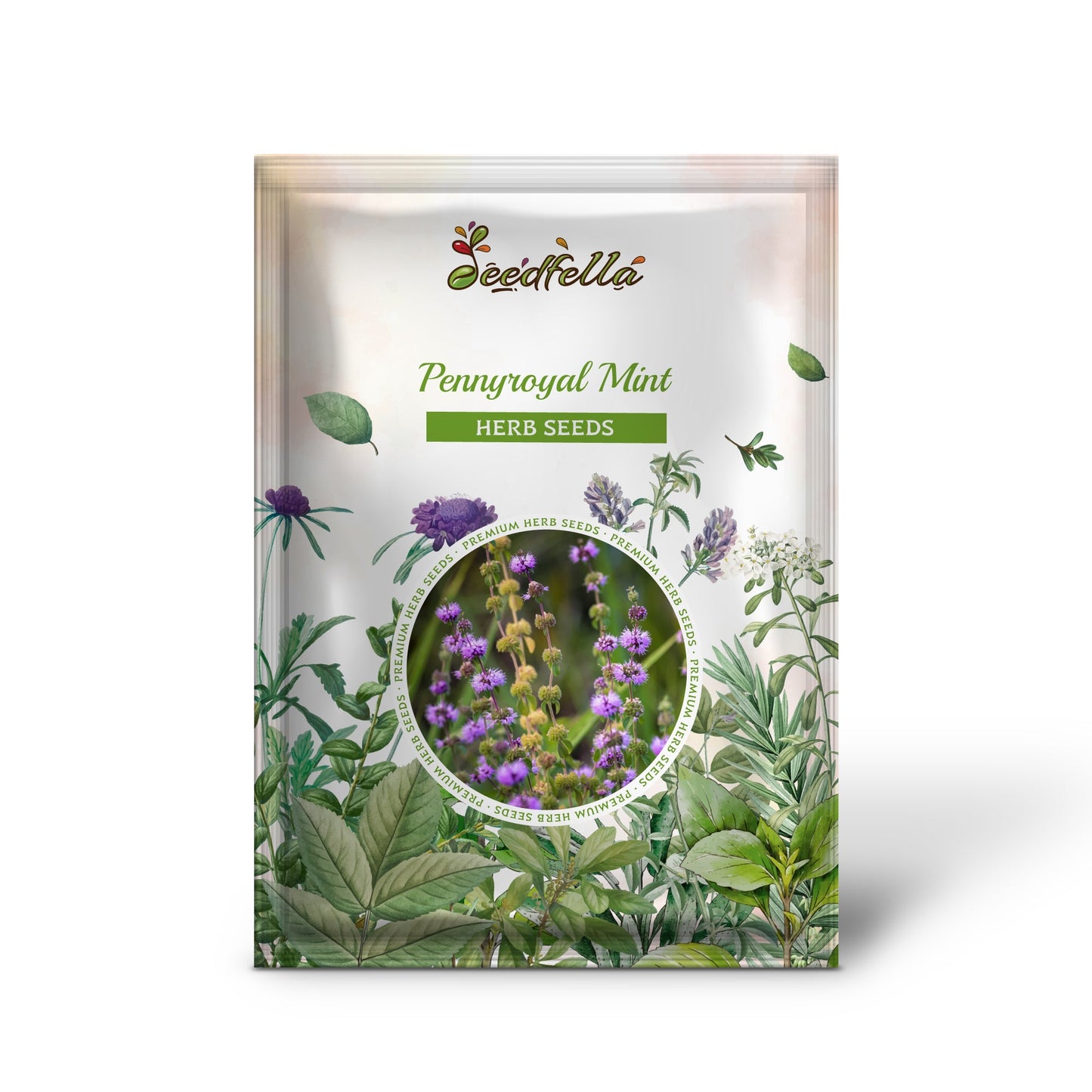 Pennyroyal Mint (Mentha pulegium) - 200 Herb Purple Flower Seeds