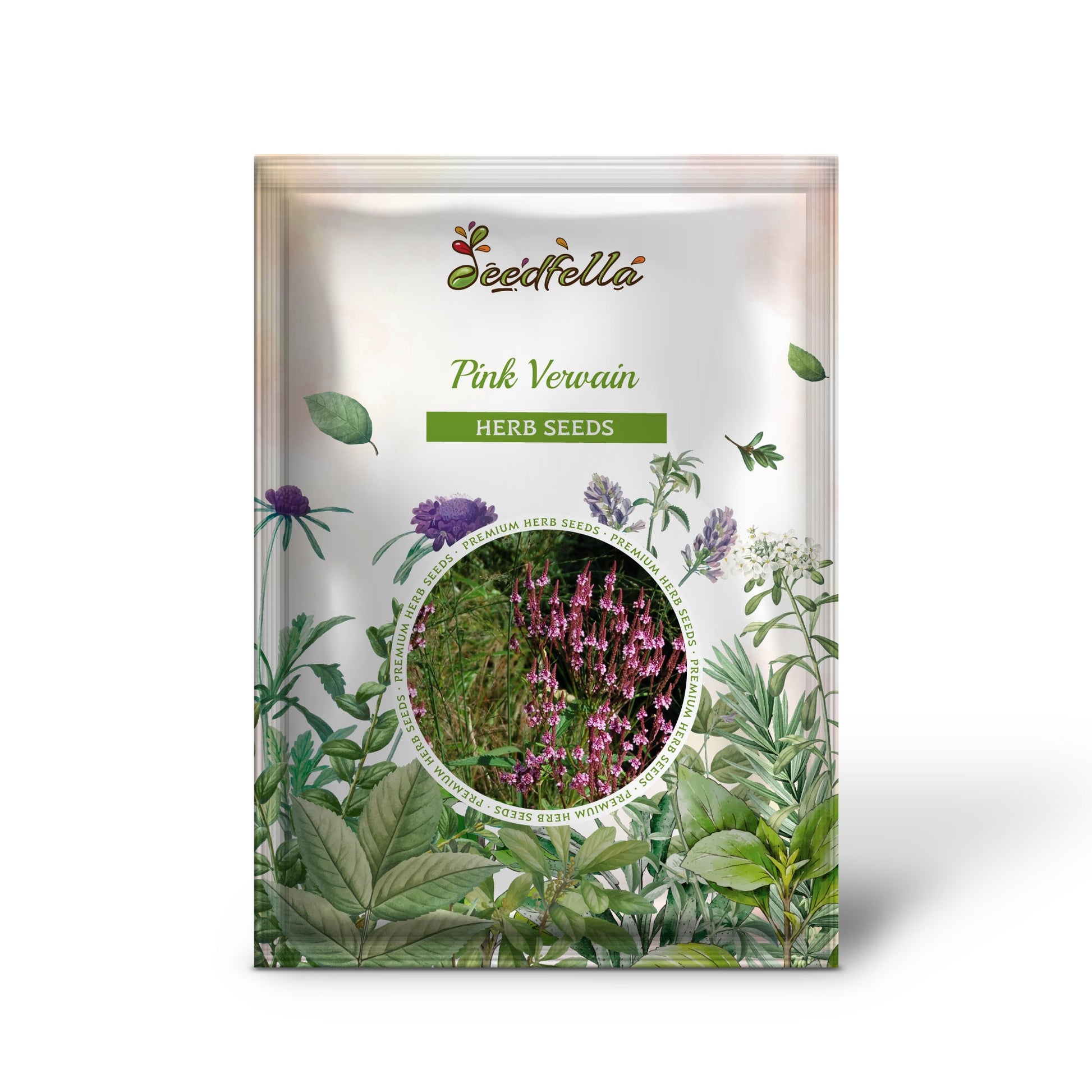 rose verbena seeds Pink Vervain Verbena Hastata Rosea Flower Seeds Organic Garden Seeds – Pure Asia Seeds