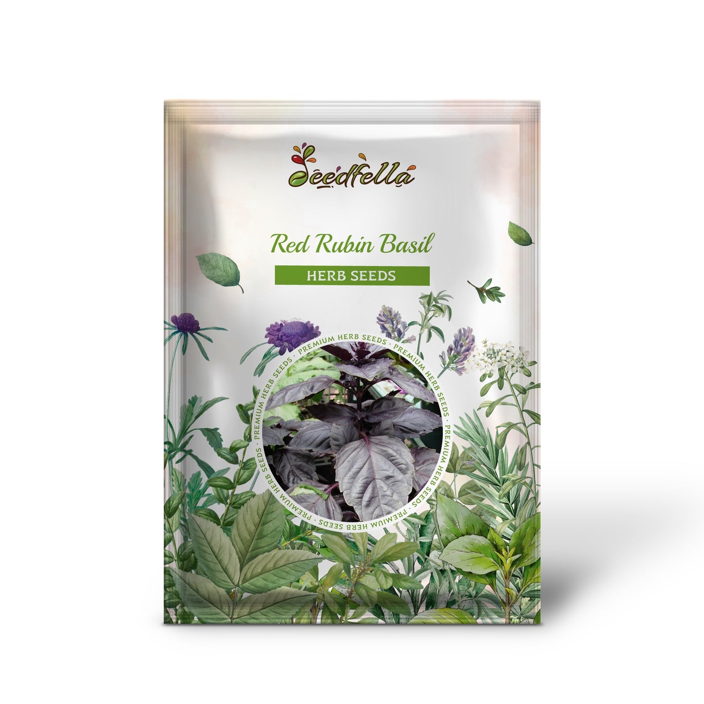 Red Rubin Basil (Ocimum basilicum Purpurascens) – 500 Pcs Spicy Herb Seeds with White & Lavender Flowers
