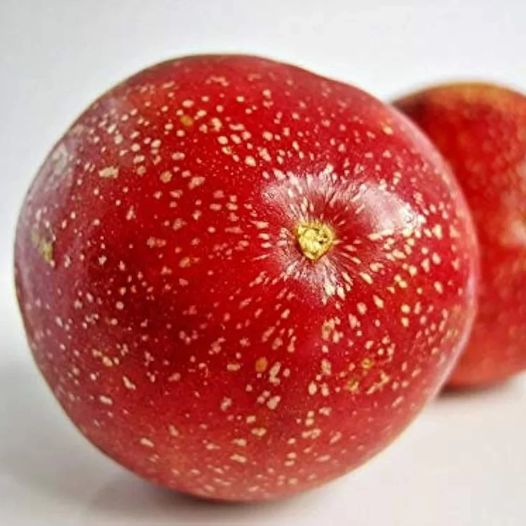 Red Mix Passion Fruit Seeds for Planting - Grow Exotic Flavors in Your Garden