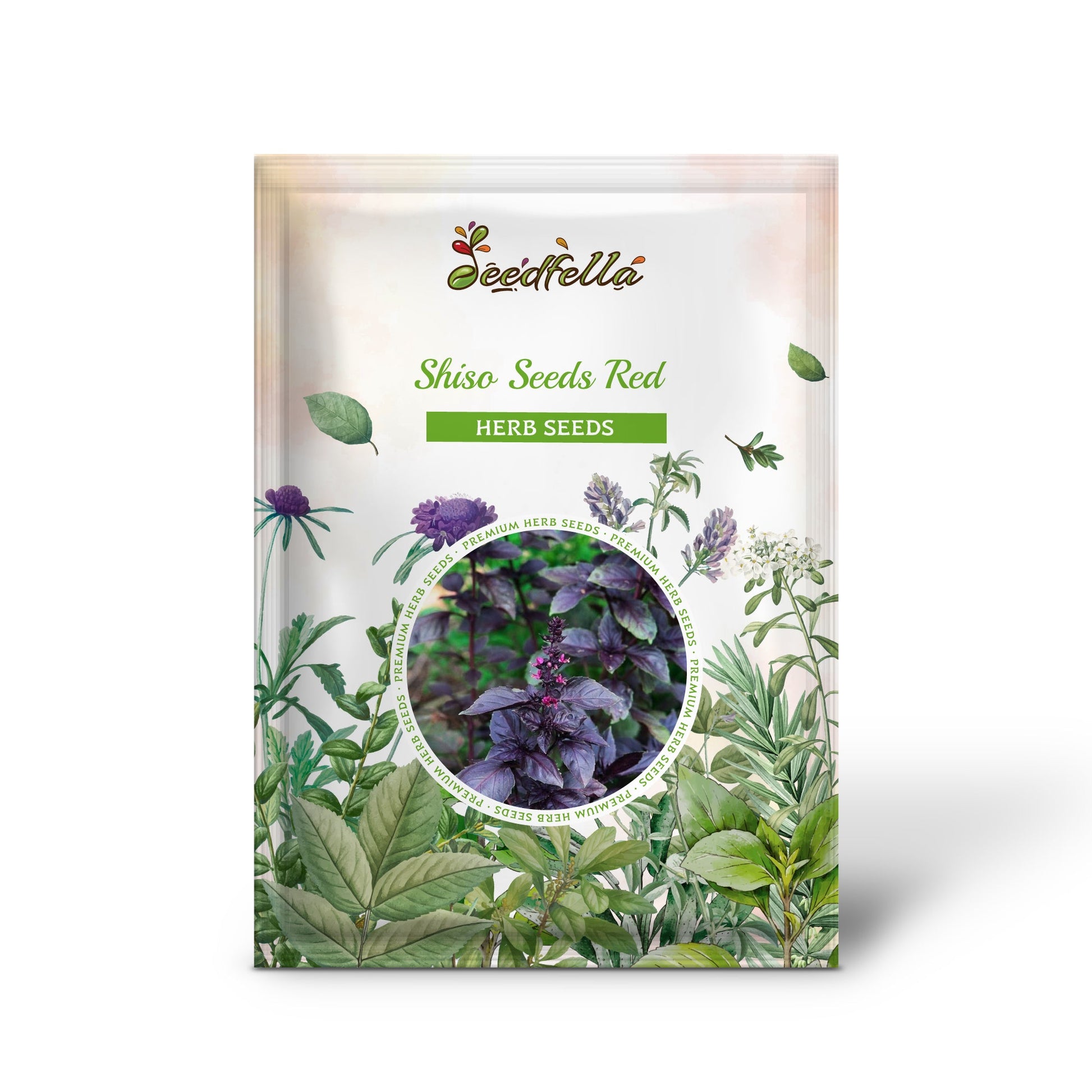 shiso plant seeds Shiso Seeds Red Perilla Frutescens Var. Purpurea Organic Garden Seeds – Pure Asia Seeds