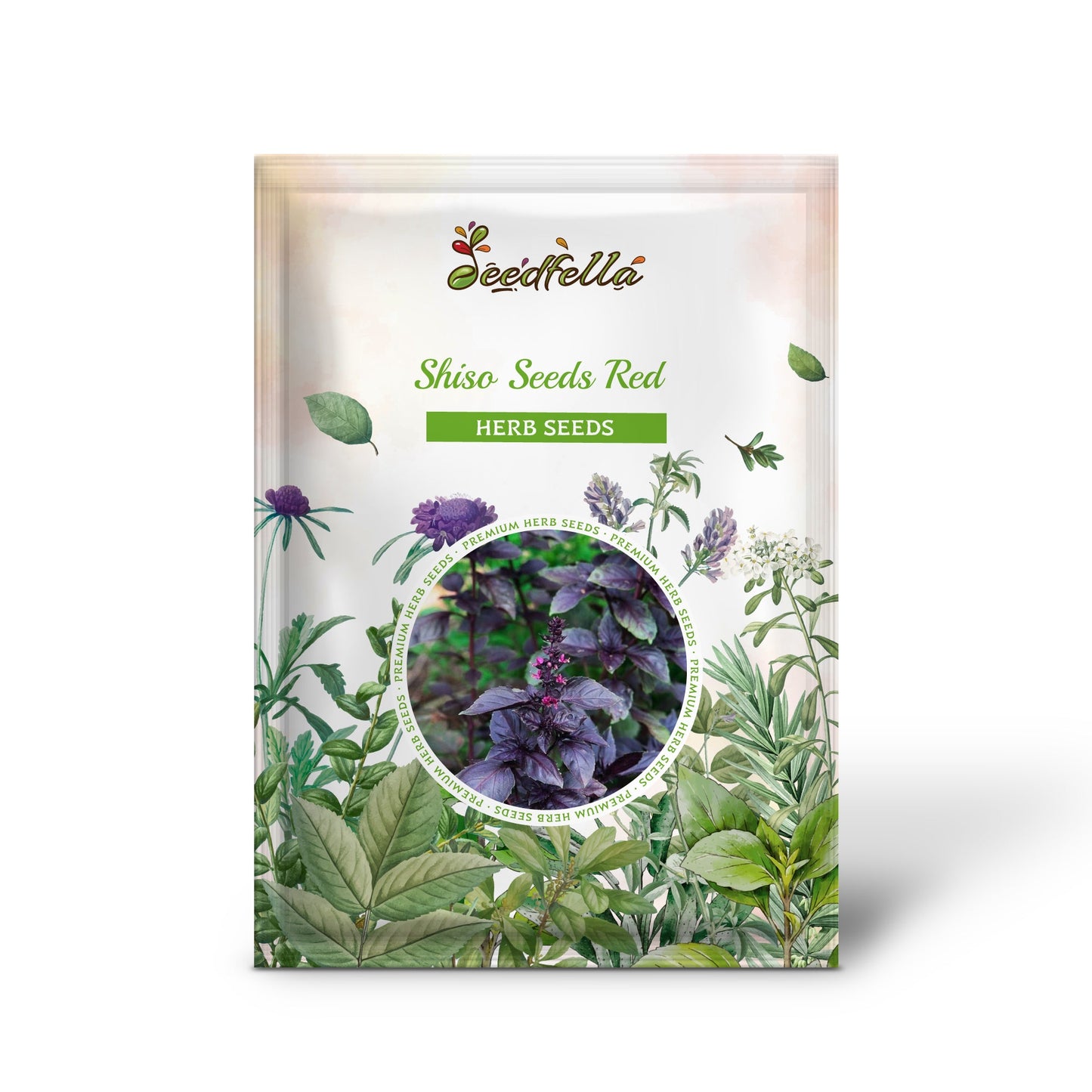 Shiso Seeds - Red (Perilla frutescens var. purpurea)