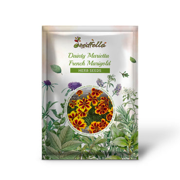 Dainty Marietta French Marigold (Tagetes patula) Red & Yellow Flower Seeds