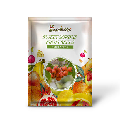 SWEET SORBUS FRUIT SEEDS PLANTING FOR DELICIOUS HARVESTS
