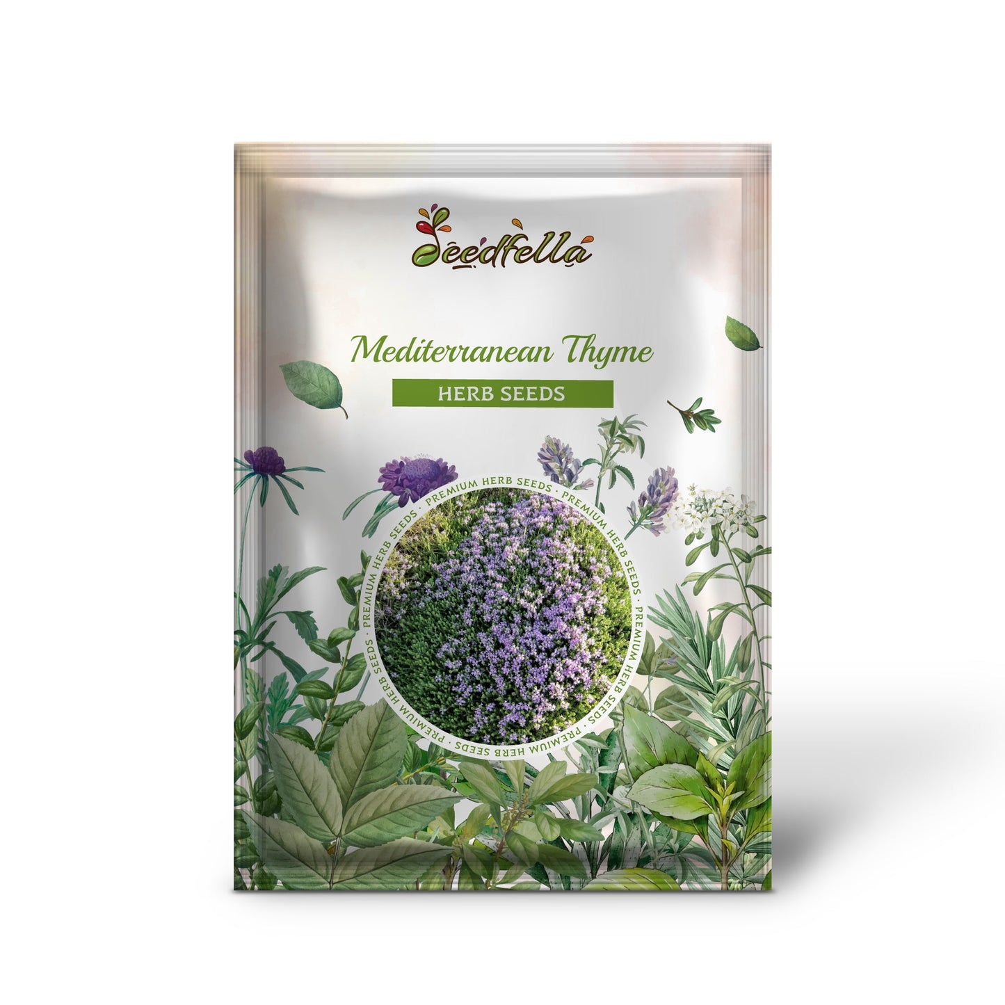 Mediterranean Thyme (Thymbra spicata) - Spiked Za’atar, Pink Savory Herb, Perennial Flower Seeds