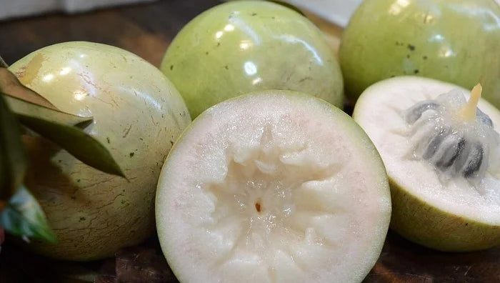 Vietnam Milk Melon Fruit Seeds - Premium Quality Planting Seeds for a Tropical Delight