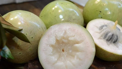 Vietnam Milk Melon Fruit Seeds - Premium Quality Planting Seeds for a Tropical Delight