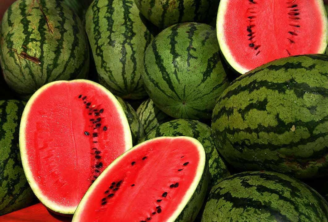 CAL Sweet Supreme Watermelon (Citrullus lanatus) 30 lb Red Melon Fruit Seeds