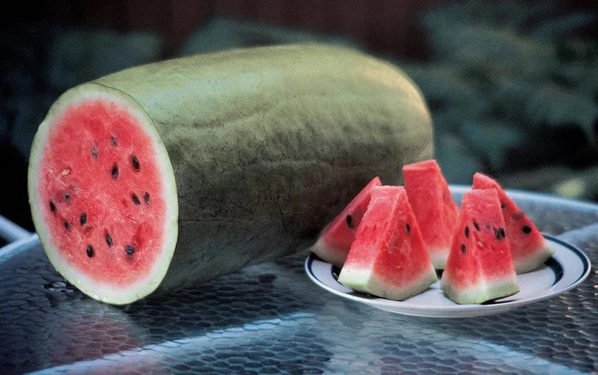 Watermelon Red Gray Seeds: Grow Your Own Delicious Fruit