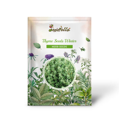 Thyme Seeds - Winter (Thymus vulgaris)