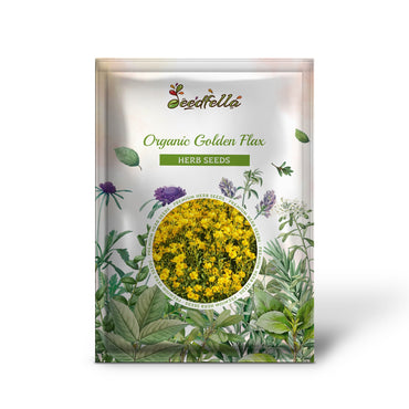 Organic Golden Flax (Linum flavum) Yellow Linseed Common Flower Seeds