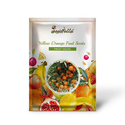 Yellow Orange Fruit Seeds Planting