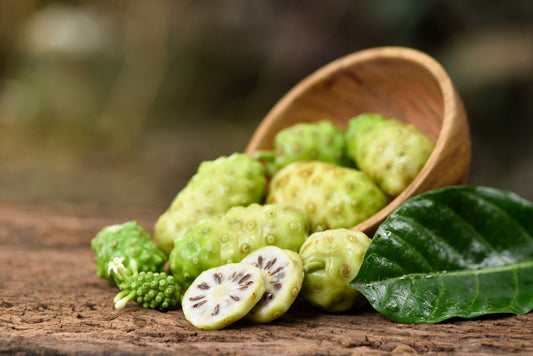 Noni Cheese Fruit Morinda Citrifolia Indian Beach Mulberry Shrub Tree Seeds heirloom non-gmo organic garden seeds