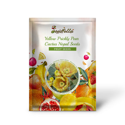 Yellow Prickly Pear Cactus Nopal (Opuntia Ficus-Indica) Flower Seeds