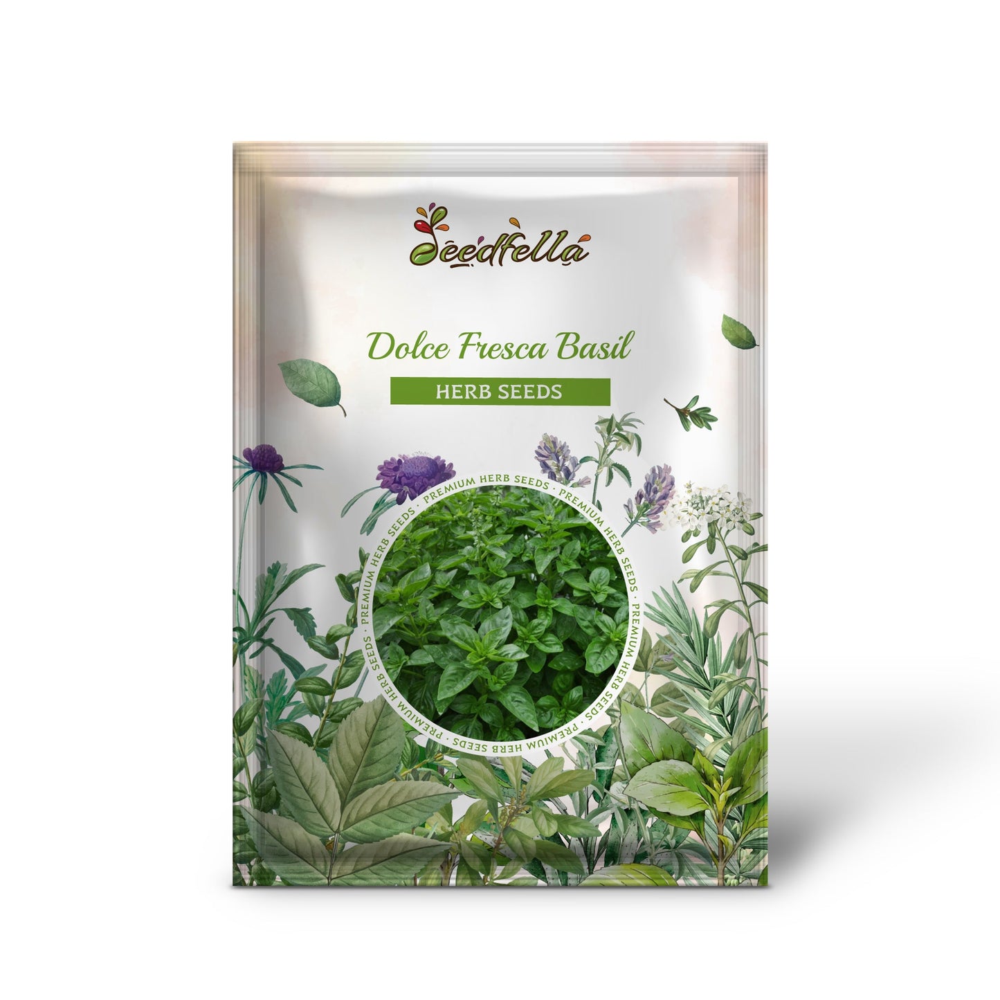Dolce Fresca Basil (Ocimum basilicum) Seeds