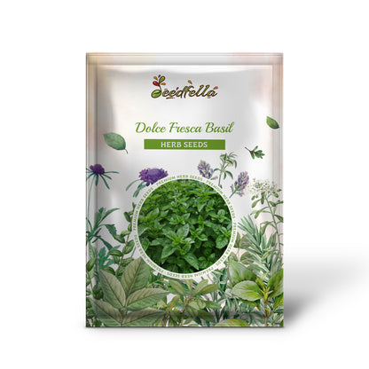 Dolce Fresca Basil (Ocimum basilicum) Seeds